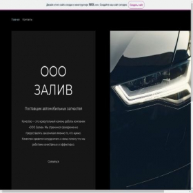 Скриншот главной страницы сайта zaliv.su