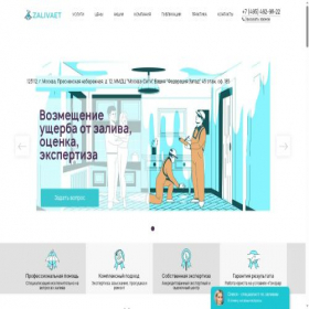 Скриншот главной страницы сайта zalivaet.ru