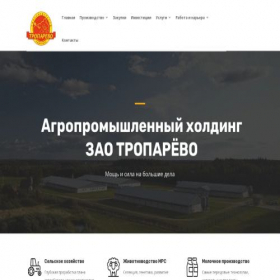 Скриншот главной страницы сайта zaotroparevo.ru