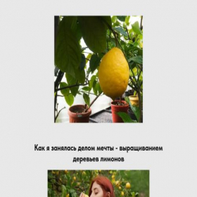 Скриншот главной страницы сайта zaqwsr.tilda.ws