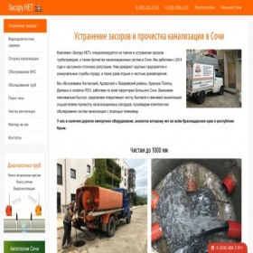 Скриншот главной страницы сайта zasorynet.ru