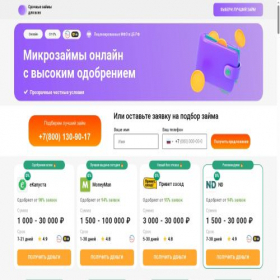 Скриншот главной страницы сайта zaymfield.ru