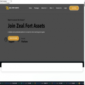 Скриншот главной страницы сайта zealfortassests.org