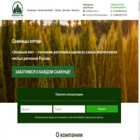 Скриншот главной страницы сайта zelen-les.ru