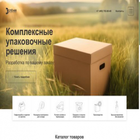 Скриншот главной страницы сайта zelter.ru