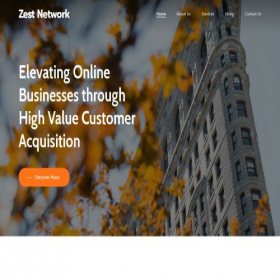Скриншот главной страницы сайта zest.network