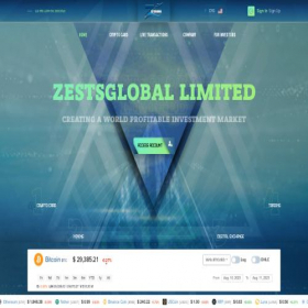 Скриншот главной страницы сайта zestsglobal.com