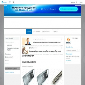 Скриншот главной страницы сайта zetek.pulscen.ru