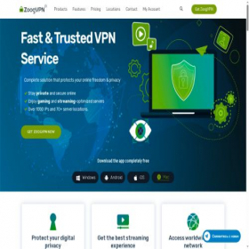 Скриншот главной страницы сайта zgvpn.net