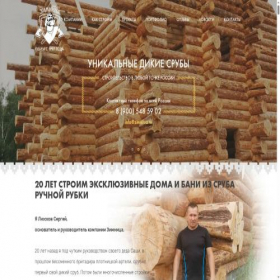 Скриншот главной страницы сайта zimnitsa.ru