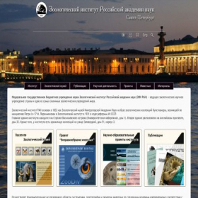 Скриншот главной страницы сайта zin.ru