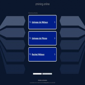 Скриншот главной страницы сайта zmining.online
