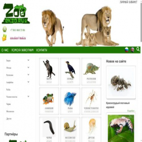 Скриншот главной страницы сайта zoo-ekzo.ru