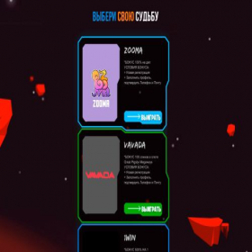 Скриншот главной страницы сайта zooma6.ru