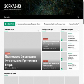 Скриншот главной страницы сайта zorkabiz.ru