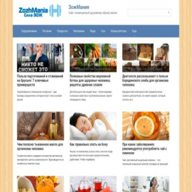 Скриншот главной страницы сайта zozhmania.ru
