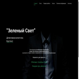 Скриншот главной страницы сайта zs-detectivnoe.ru
