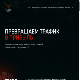 Скриншот главной страницы сайта zubr.digital