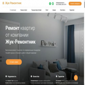 Скриншот главной страницы сайта zukremont.ru