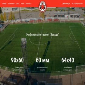 Скриншот главной страницы сайта zvezda-stadium.ru