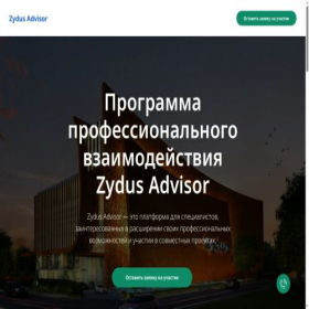 Скриншот главной страницы сайта zydus-advisor.ru