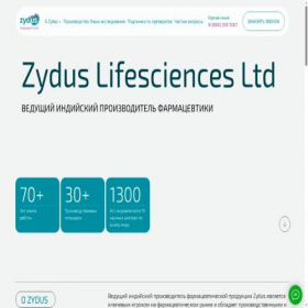 Скриншот главной страницы сайта zydus.ru