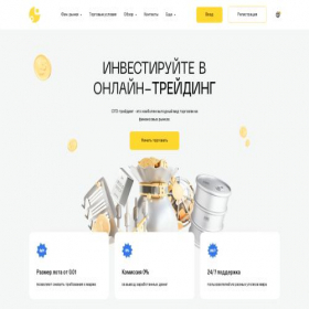 Скриншот главной страницы сайта zynevente.co